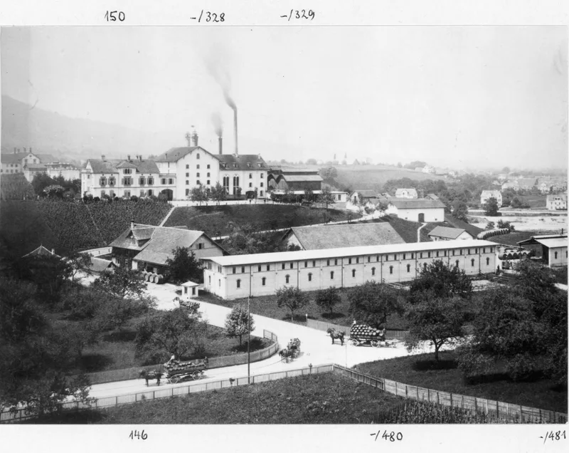 Bierbrauerei, Kühlhaus, Magazingebäude, Pichereigebäude und Wohnhäuser an der Brandschenkestrasse