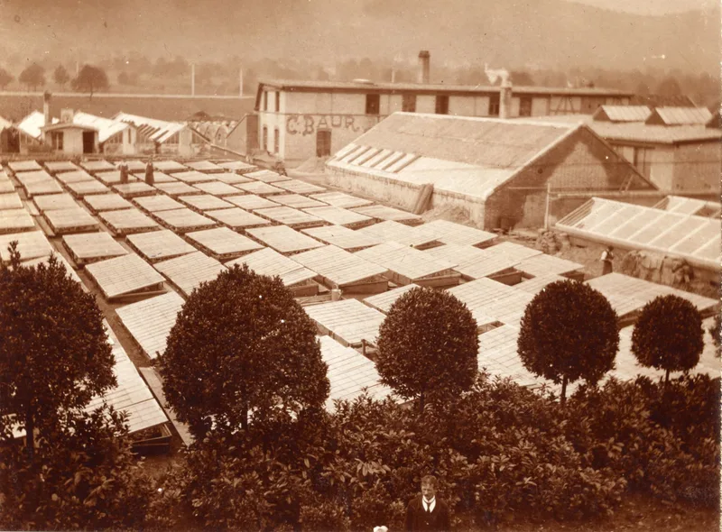 Albisrieden, Ökonomiegebäude mit Büro, Schlafräumen und Gewächshaus